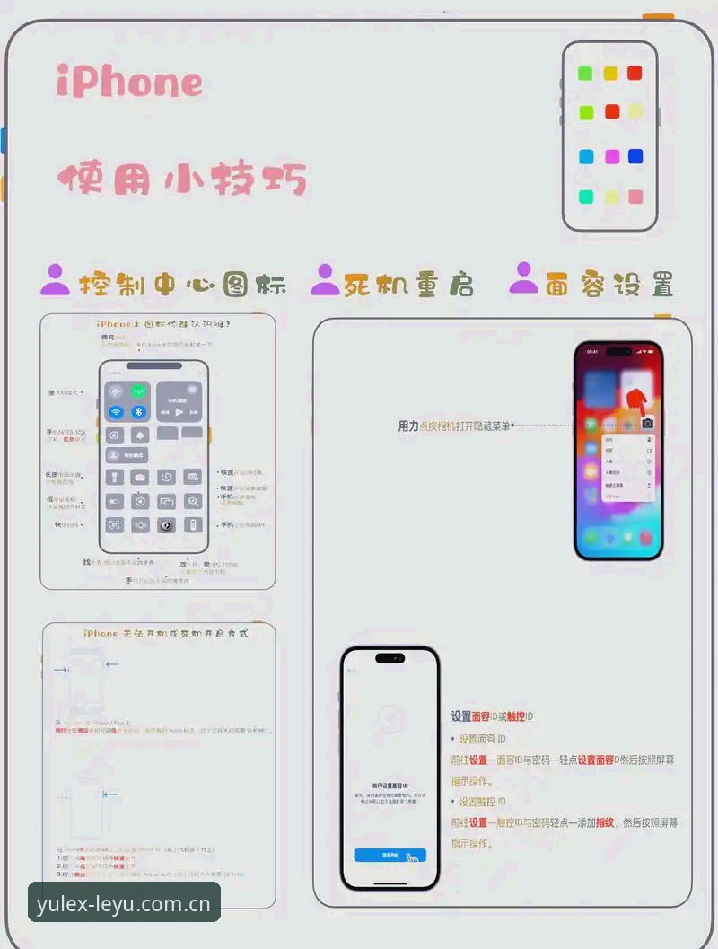 乐鱼苹果版实用指南：从下载到使用全流程必备知识
